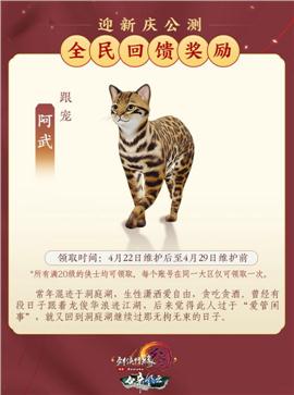 不合区天龙八部私服